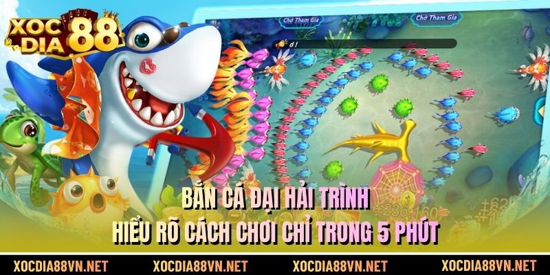 Bắn Cá đại hải trình - Hiểu Rõ Cách Chơi Chỉ Trong 5 Phút