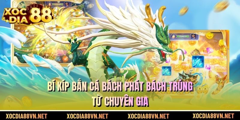 Bí kíp bắn cá bách phát bách trúng từ chuyên gia