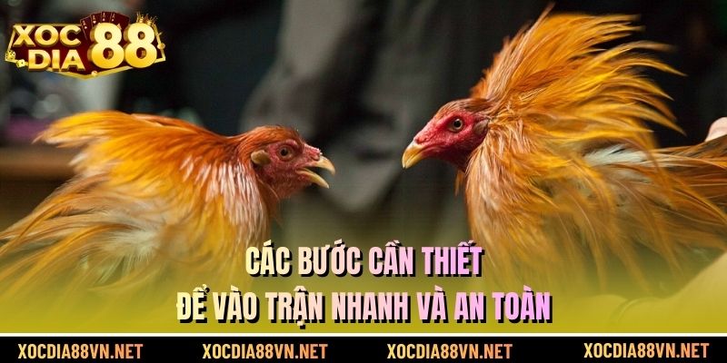 Các bước cần thiết để vào trận nhanh và an toàn