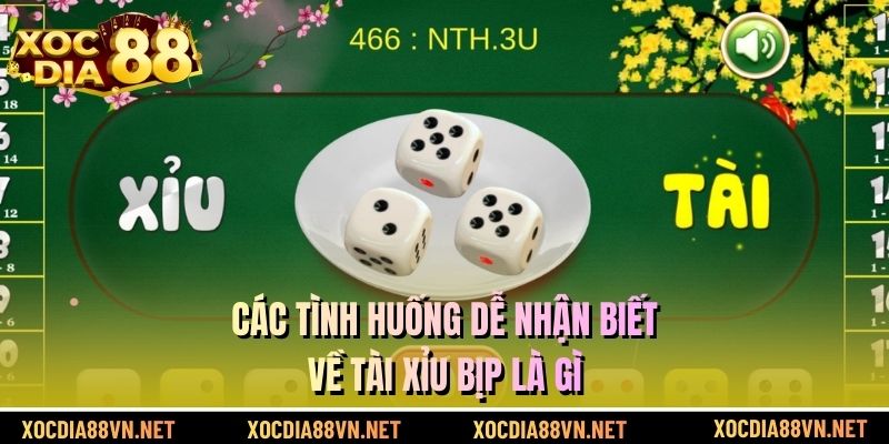 Các tình huống dễ nhận biết về tài xỉu bịp là gì
