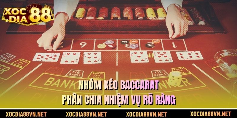 Nhóm kéo Baccarat phân chia nhiệm vụ rõ ràng