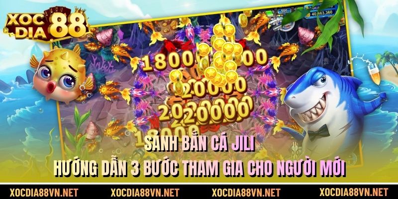 Sảnh Bắn Cá Jili - Hướng Dẫn 3 Bước Tham Gia Cho Người Mới