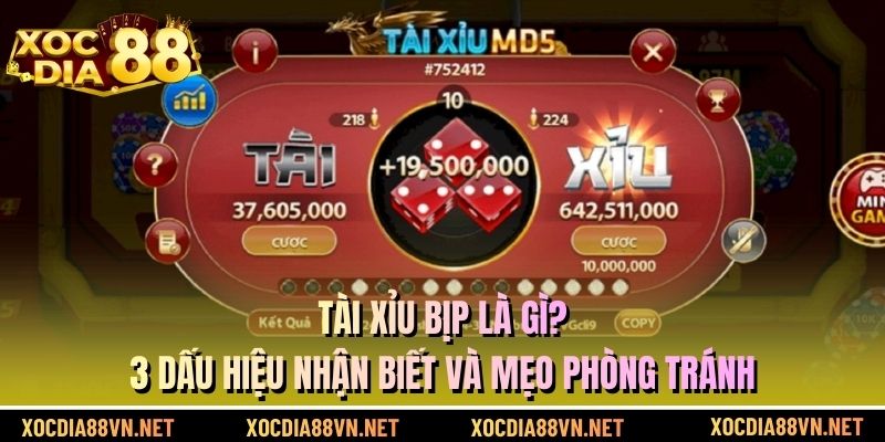 Tài Xỉu Bịp Là Gì? 3 Dấu Hiệu Nhận Biết Và Mẹo Phòng Tránh 